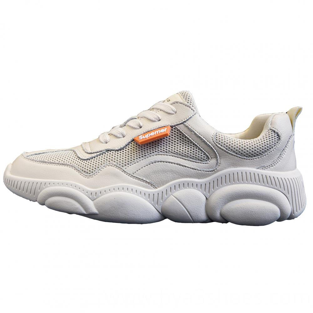 Yeezy Girl's Casual Shoes